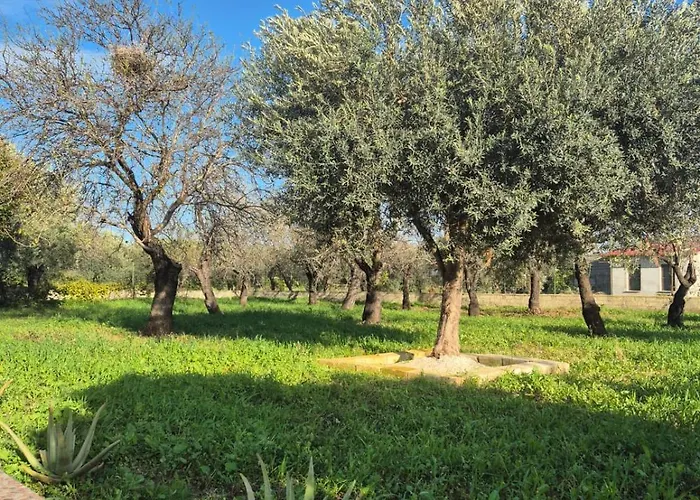 Noemi Βίλα Νότο