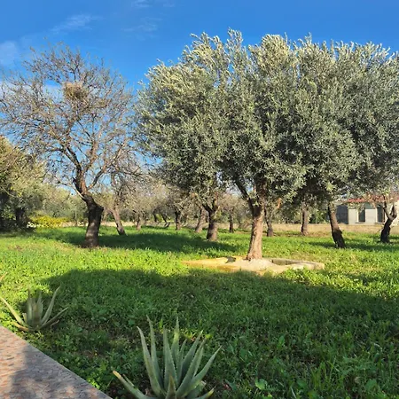 Noemi Villa Noto